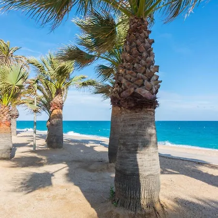 Homeholidaysrentals Virgin